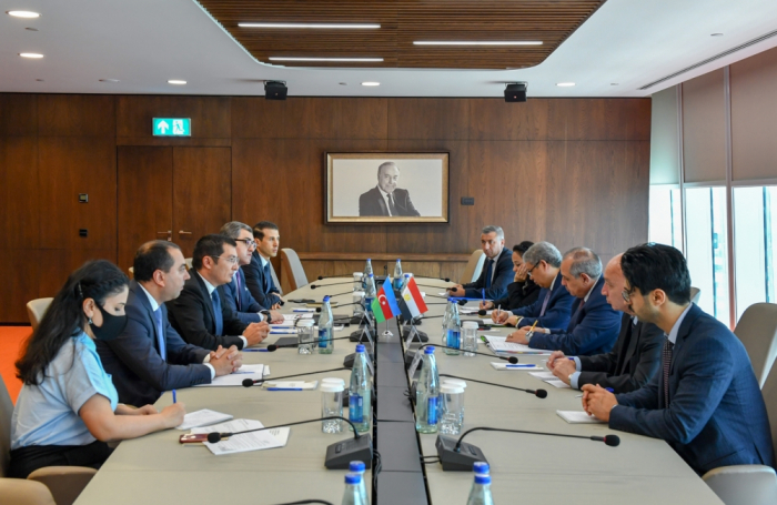   Aserbaidschan und Ägypten erörtern Perspektiven für den Ausbau der Wirtschafts- und Investitionszusammenarbeit  