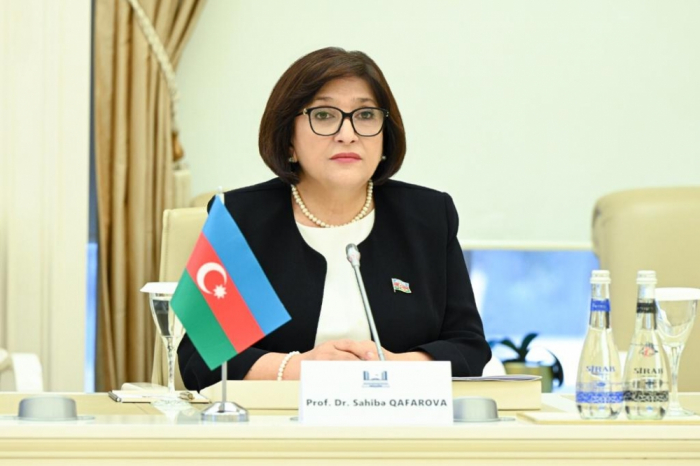 Speaker of Milli Majlis Sahiba Gafarova extends condolences to Georgian counterpart