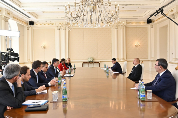   Präsident Ilham Aliyev empfing den Vorsitzenden des Ausschusses für auswärtige Beziehungen des Europäischen Parlaments  