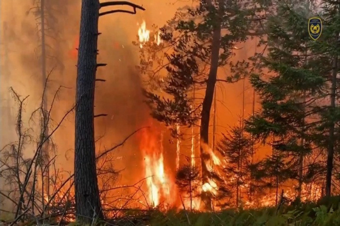   Nationalparks in Europa und den Vereinigten Staaten stehen in Flammen  