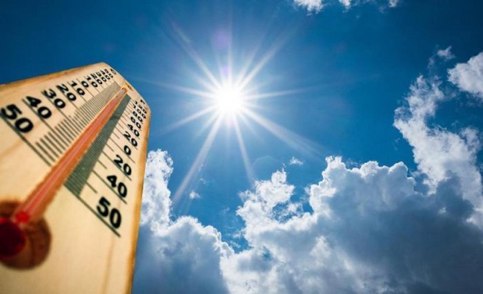       Bu günün havası:    40 dərəcə isti    