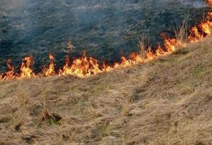 Əngəxəran kəndi yaxınlığındakı yanğın söndürülüb