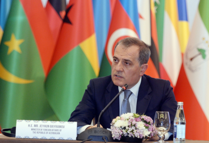   Canciller azerbaiyano  : “El futuro del mundo está en manos de la juventud”