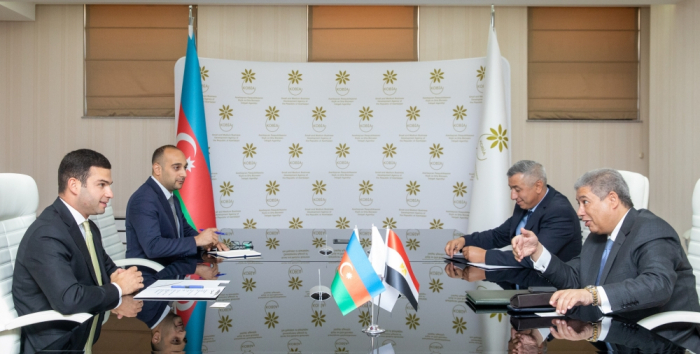 Se discute la ejecución de proyectos conjuntos entre Azerbaiyán y Egipto