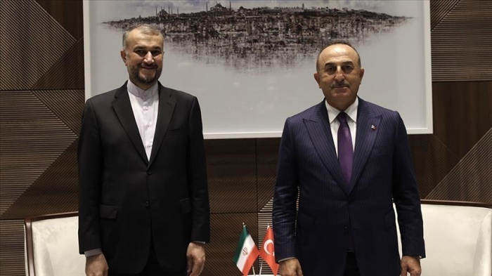 Cavusoglu et Abdollahian discutent du sommet tripartite prévu à Téhéran