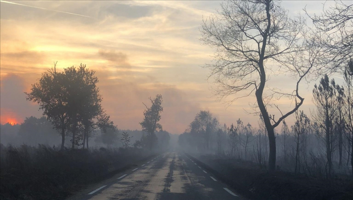 Incendies en Gironde : Près de 10 000 hectares de forêts en France