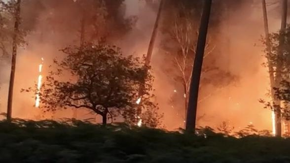 France : Pas moins de 14 000 hectares sont partis en fumée dans les incendies