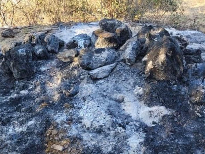    Masallıdakı yanğın qəsdən törədilib      
