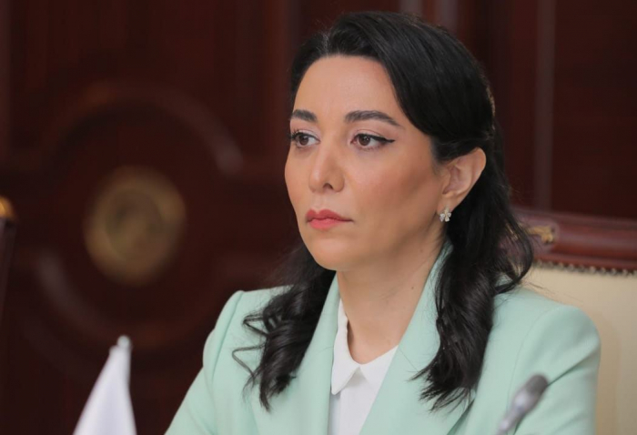 Azerbaijani Ombudsman sends appeal to international organizations on Armenia