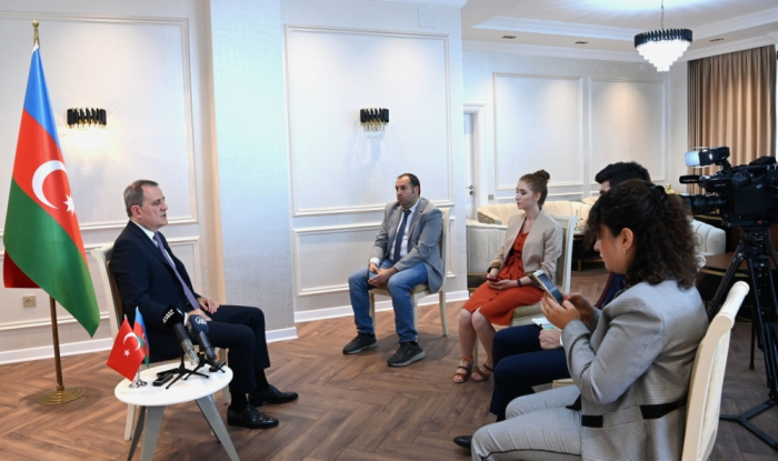   Azerbaijani FM gives interview to Turkish leading media outlets  