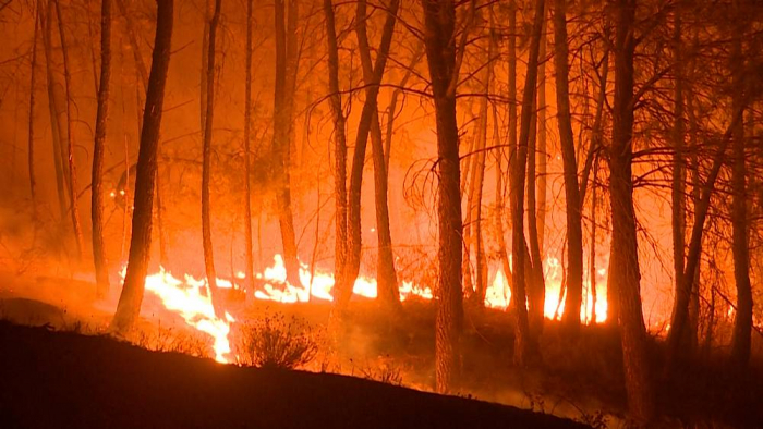   Wildfire rips through national park in central Portugal -   NO COMMENT    
