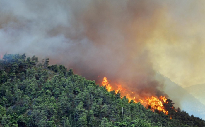   Wildfires break out in northern Azerbaijani districts   
