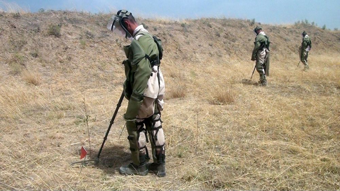   Azerbaijani sappers demining several heights in Lachin district   