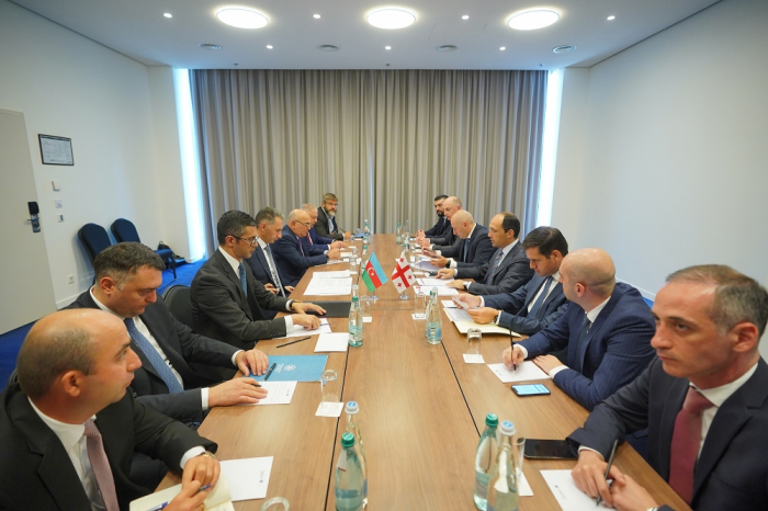 Azerbaijan, Georgia discuss cooperation in economy, transport, logistics