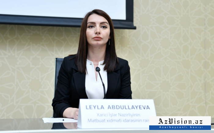   Blinkens Aussage zur Ernennung des leitenden Beraters für die Kaukasusverhandlungen sorgt für Überraschung  