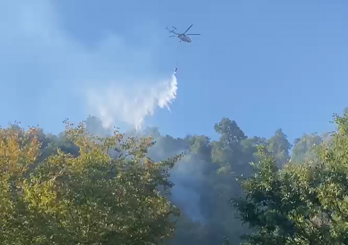   In Zagatala brechen Waldbrände aus  