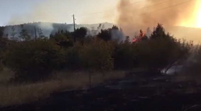   Armenios provocaron 6 incendios en Lachin y sus alrededores -   VIDEO    