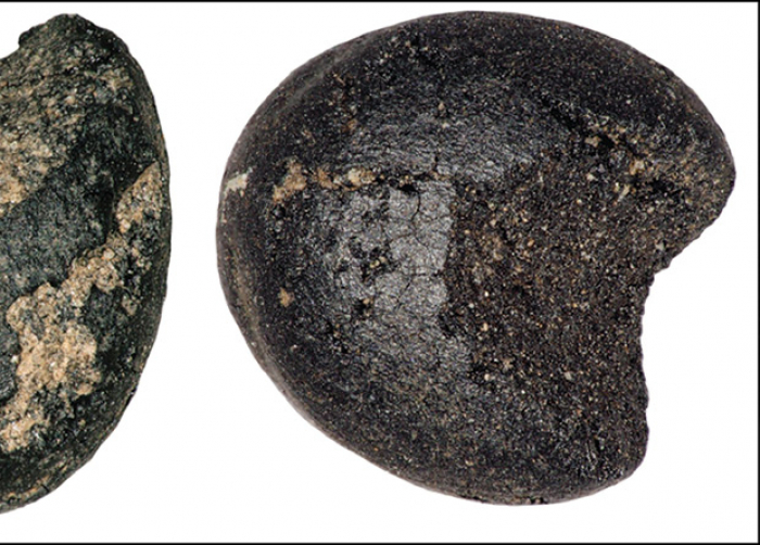 Arxeoloqlar Britaniyada qədim darı dənələrini aşkarlayıblar