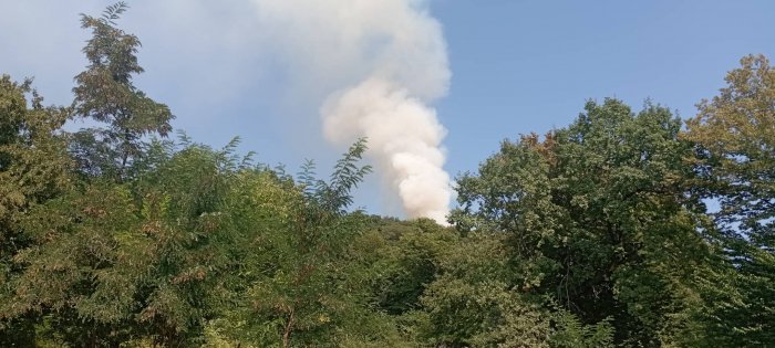    Zaqataladakı yanğınla bağlı son vəziyyət -    VİDEO        

