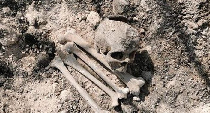   "Bizə 102 kisə sümük qalıqları gətirilib" -    Ədalət Həsənov      
   