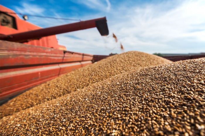   27,6 Tausend Tonnen Getreide wurden von Stavropol nach Aserbaidschan geliefert  