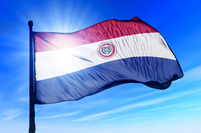   Vizepräsident von Paraguay wird zurücktreten  