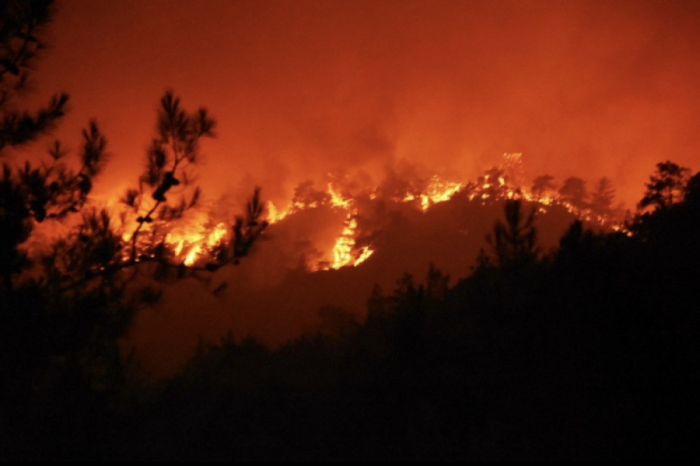   Bei Waldbränden in Europa wurde ein Rekord verzeichnet  