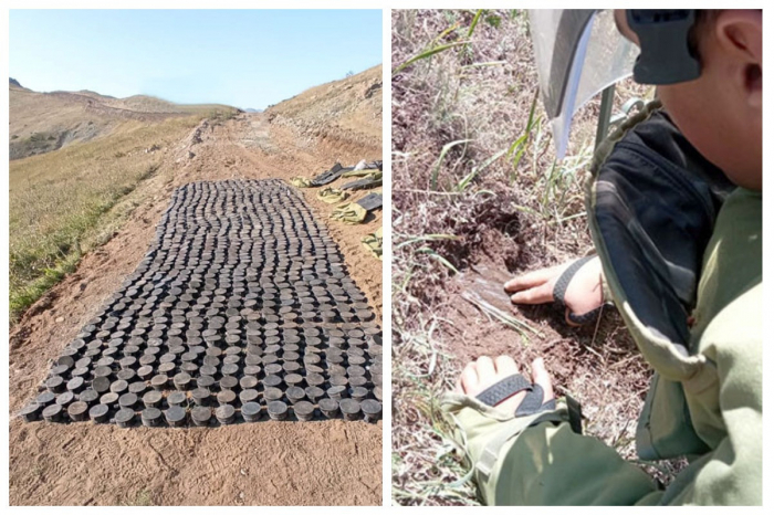   991 von illegalen armenischen Streitkräften vergrabene Minen wurden auf den Sarıbaba-Höhen entdeckt  