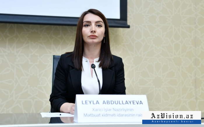       Leyla Abdullayeva:    "Minsk Qrupu ilə bağlı Azərbaycanın mövqeyi aydın şəkildə ifadə olunub"   