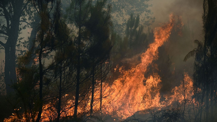 Des feux de forêt toujours en cours dans plusieurs départements français