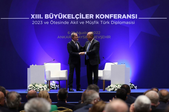   Both friends & enemies should know that Azerbaijan is not alone, says Turkish FM  