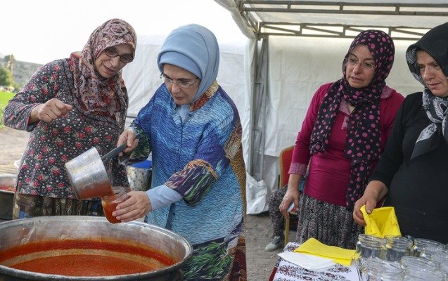    Əminə Ərdoğan tarlada pomidor topladı -    FOTOLAR        
