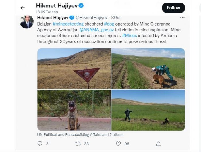 Hikmət Hacıyev minaya düşərək ölən Dina ilə bağlı paylaşım etdi   
