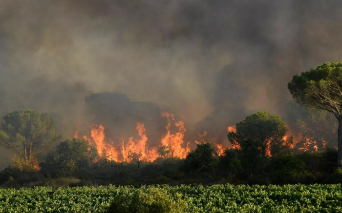   France/Incendies :   110 hectares brûlés ce lundi dans les Pyrénées-Orientales