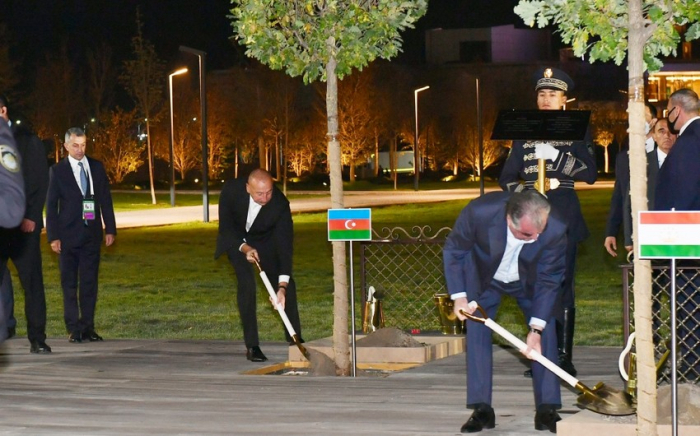  Sammitdə iştirak edən dövlət başçıları ağac əkiblər -    FOTO    