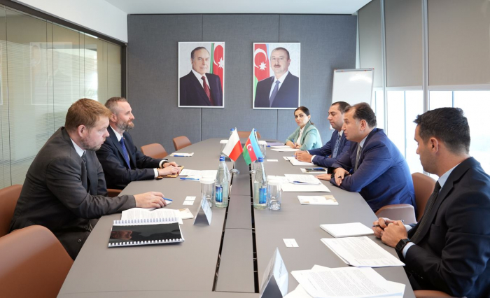   Azerbaijan, Poland to expand bilateral cooperation    