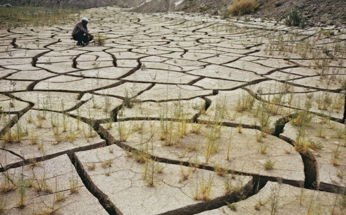 Global drought damage reaches $13.2 billlion this year 