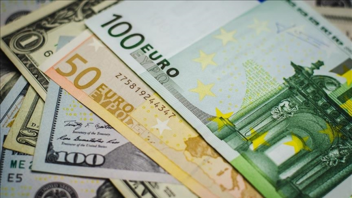 Euro drops to fresh 20-year low against greenback