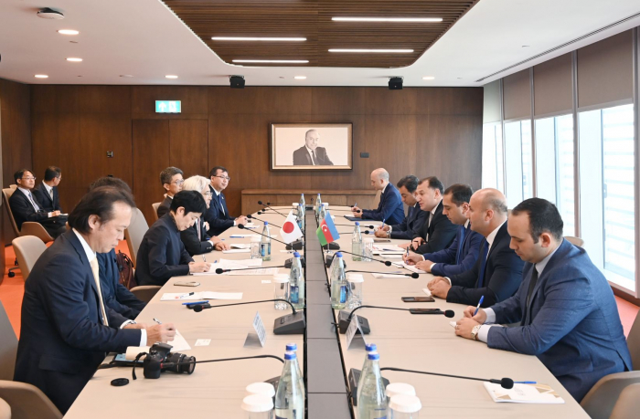 Azerbaijan, Japan address fostering economic co-op 