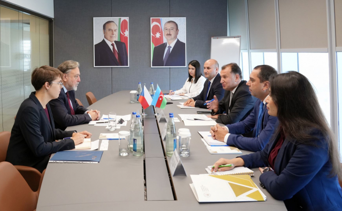   Azerbaijan and Czech Republic discuss development of economic co-op   