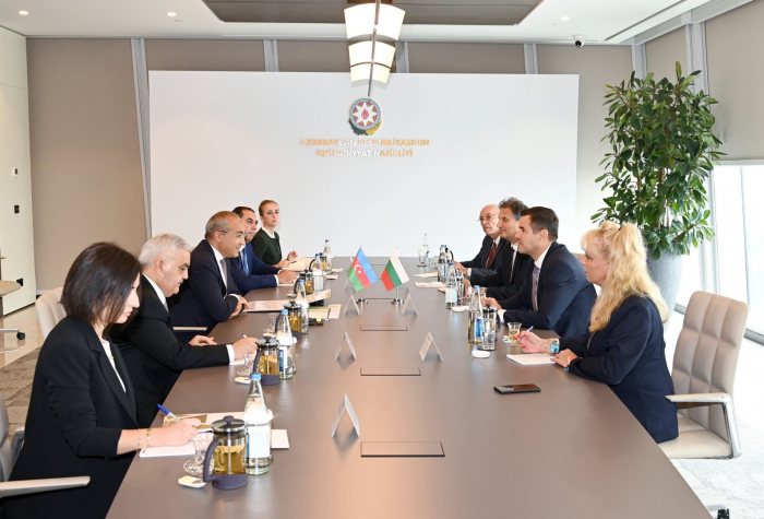 Azerbaijan, Bulgaria address fostering economic co-op 
 