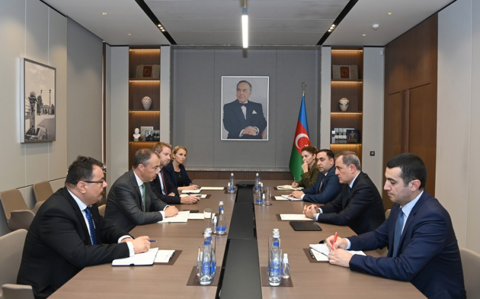   Azerbaijani FM informs EU special representative about Armenian military provocations   