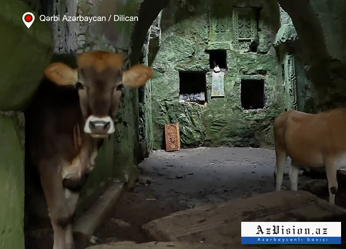 True face of Armenian "Christianity" -  PHOTOS
// They vandalize ancient Albanian churches and even keep cows there