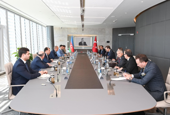   Azerbaijan, Turkiye discuss expanding trade cooperation  