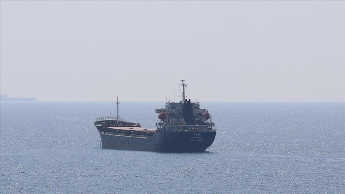   Eight more grain ships leave Ukraine under Istanbul deal  