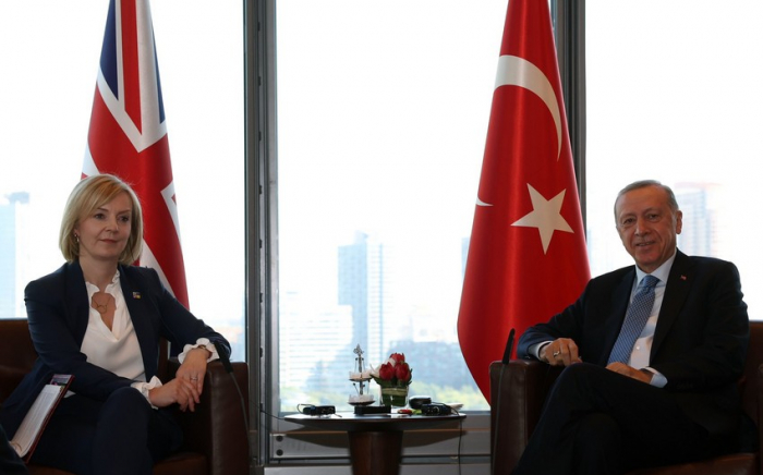   Erdogan traf sich mit dem Premierminister von Großbritannien  
