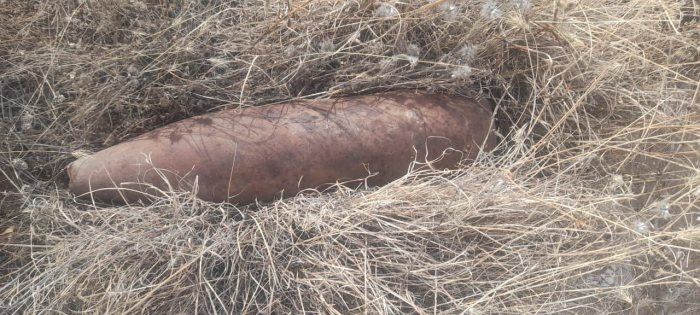Azerbaijan finds artillery shells in liberated Lachin
