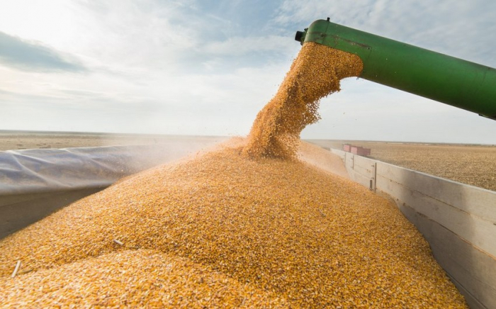   Verteidigungsminister der Türkei:  "Mehr als 5 Millionen Tonnen Getreide wurden aus der Ukraine exportiert" 