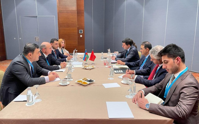   Aserbaidschan und die Türkei können die Zusammenarbeit beim Energieexport und -transit vertiefen  