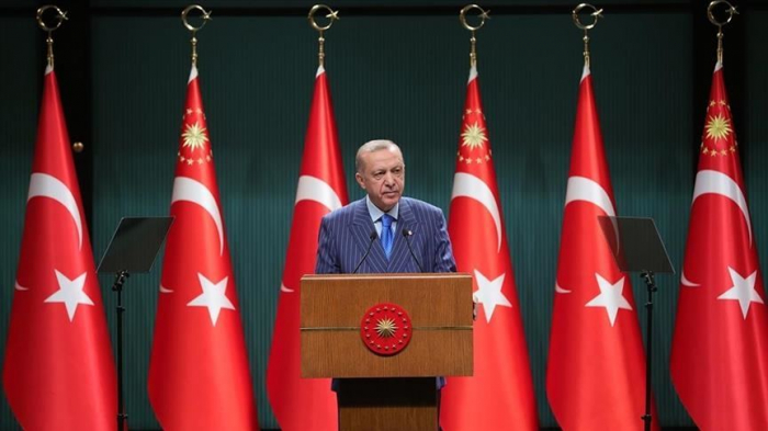 US cannot find another ally like Türkiye - Erdogan